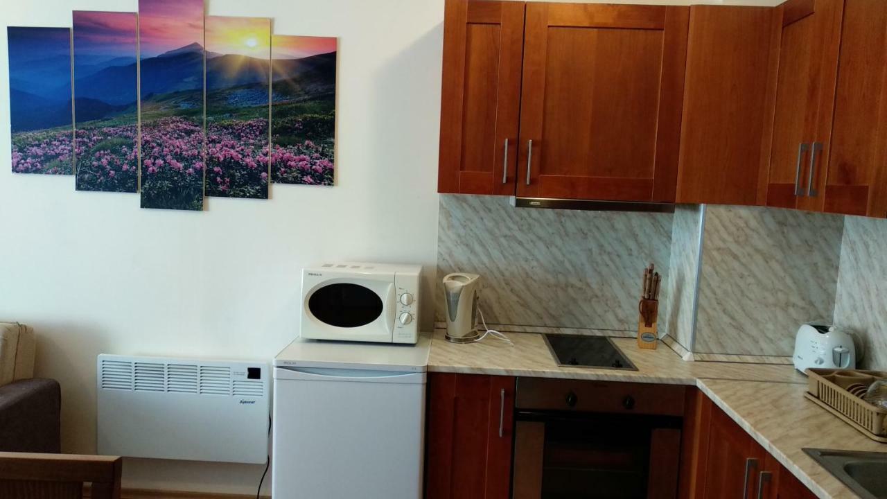 Pine Tree Apartment 3 - B3 Bansko Dış mekan fotoğraf