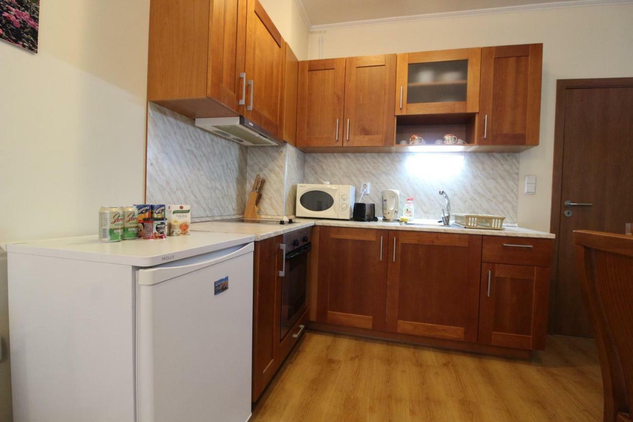 Pine Tree Apartment 3 - B3 Bansko Dış mekan fotoğraf